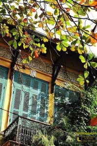 tranh-pho-co (23)